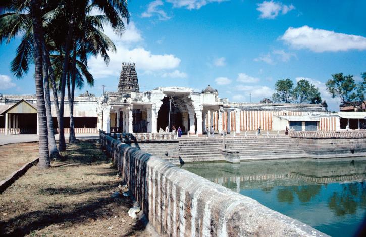 Temple complex with a gopuram and pillared halls beyond a stepped tank, coconut palms and a low stone parapet in the foreground, blue sky.