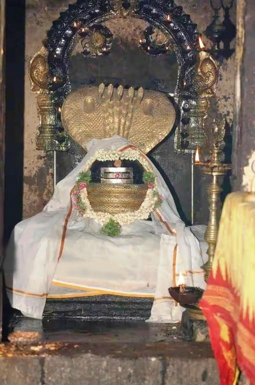 Shrine interior: a Shiva lingam draped in white cloth and garlands under a golden five-hooded serpent canopy within a dark arch, with an oil lamp.