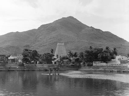 Black-and-white view across a tank of water towards a temple gopuram and trees with Arunachala hill rising behind. Whole picture.