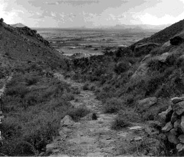 Black-and-white photograph looking down a rough footpath between scrub-covered hill slopes toward the plains below. Whole picture.