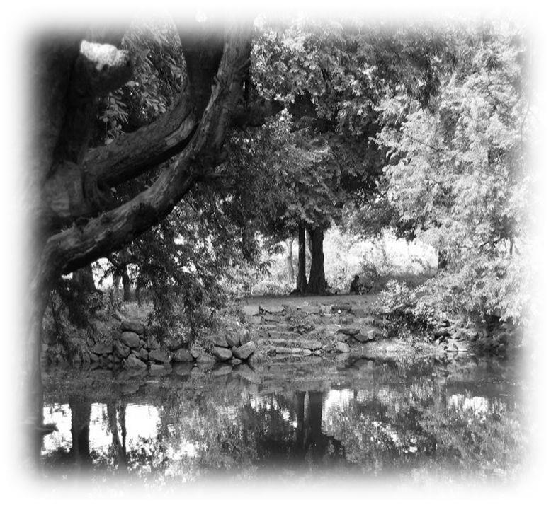 Black-and-white photograph of a still pond edged with stone steps under large overhanging trees, printed with a soft vignetted border. Whole picture.