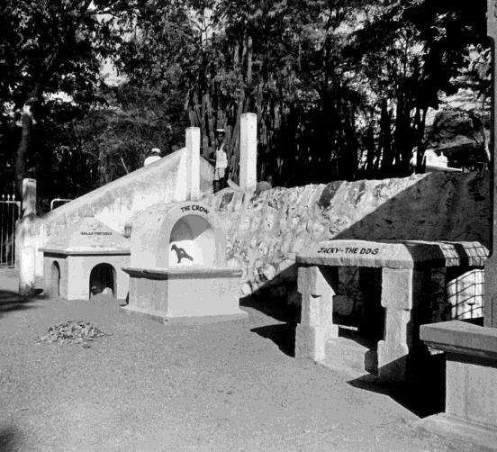 Black-and-white photograph of three small memorial shrines in front of a stone wall under trees; one bears a painted crow and the label 'THE CROW', another is labelled 'JACKY - THE DOG'. Whole picture.