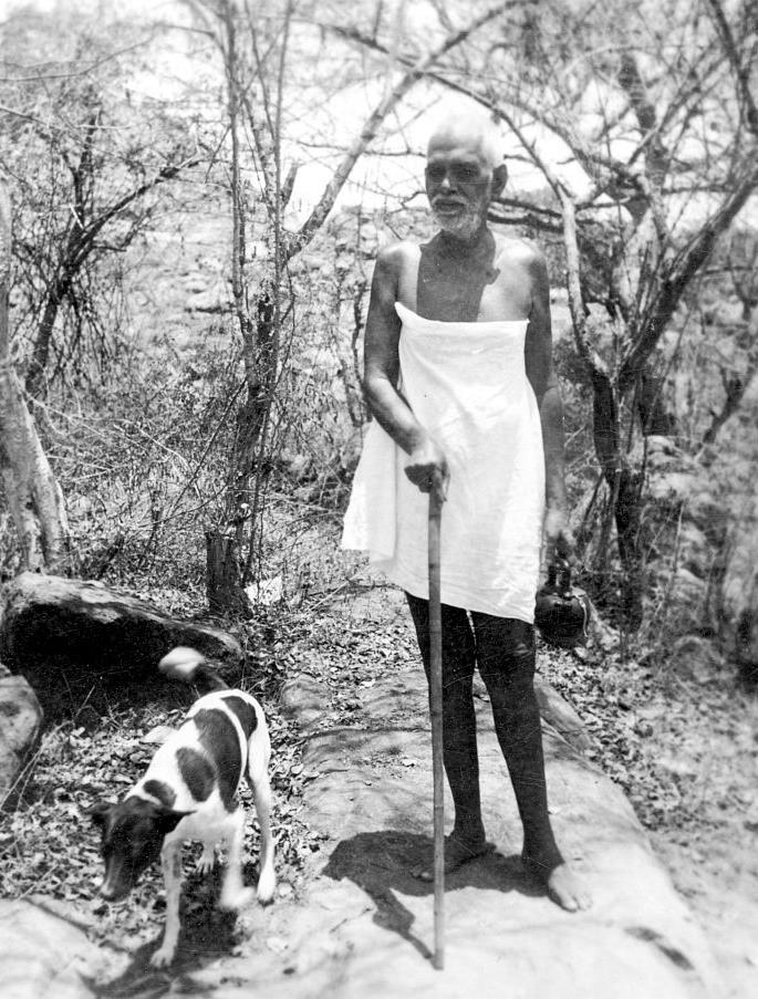 Sri Bhagavan walking with ‘Jackie’
