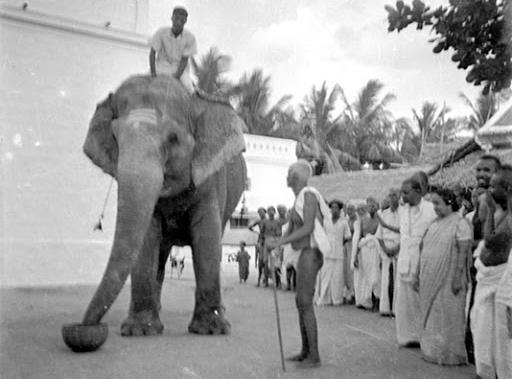 “The elephant and I stayed together in the thousand-pillared mantapam. Out of compassion for me -- his friend -- he has come here.” -- Sri Bhagavan.