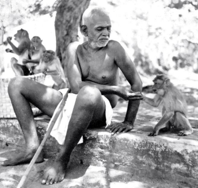 Sri Bhagavan feeding the monkey