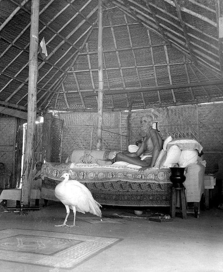 The fortunate baby squirrel nestling in Sri Bhagavan‘s palm