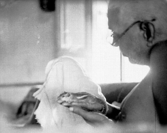 Sri Bhagavan blessing the White Peacock