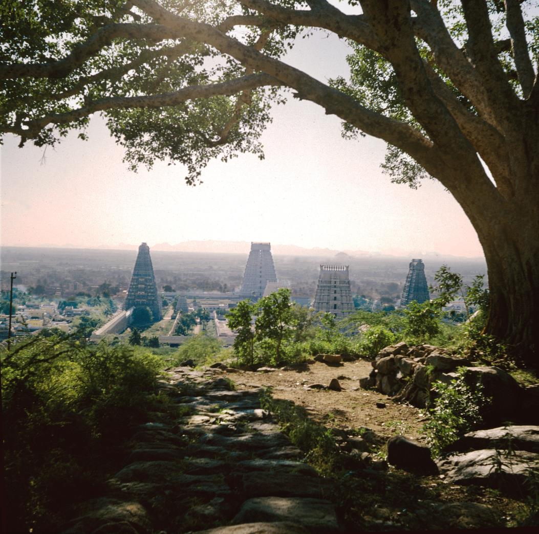 Sri Arunachaleswara Temple viewed from the Holy Hill