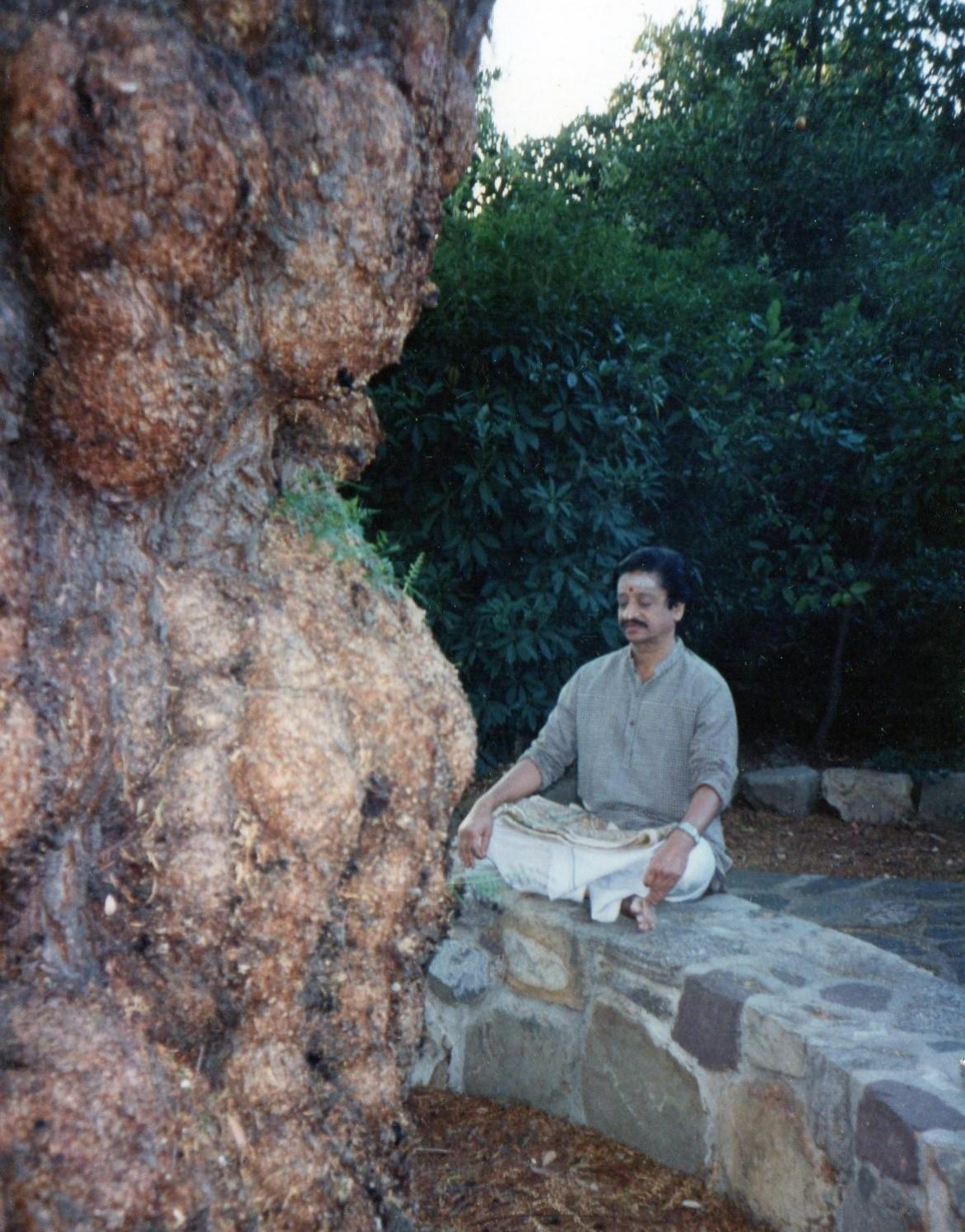 “…..lost in meditation under the ‘Pepper Tree’…..”