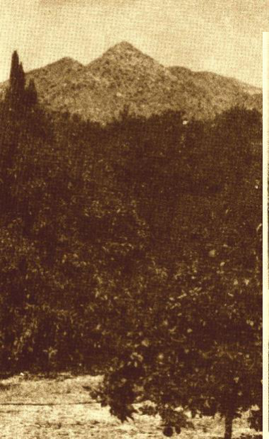 A view of the mountain near J.Krishnamurti’s cottage, reminiscent of Arunachala
