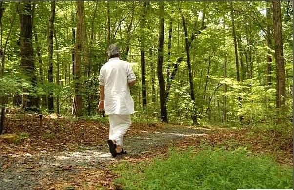 Ganesan takes a summer walk [ Thank You – AHAM Center ! ]