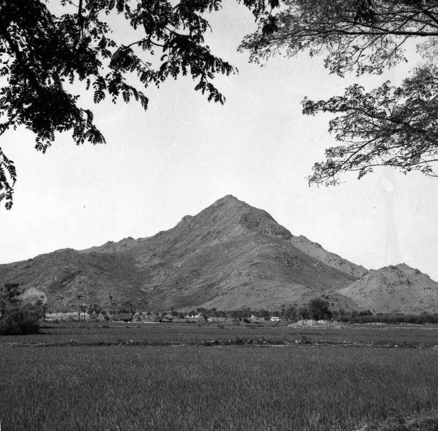 Arunachala