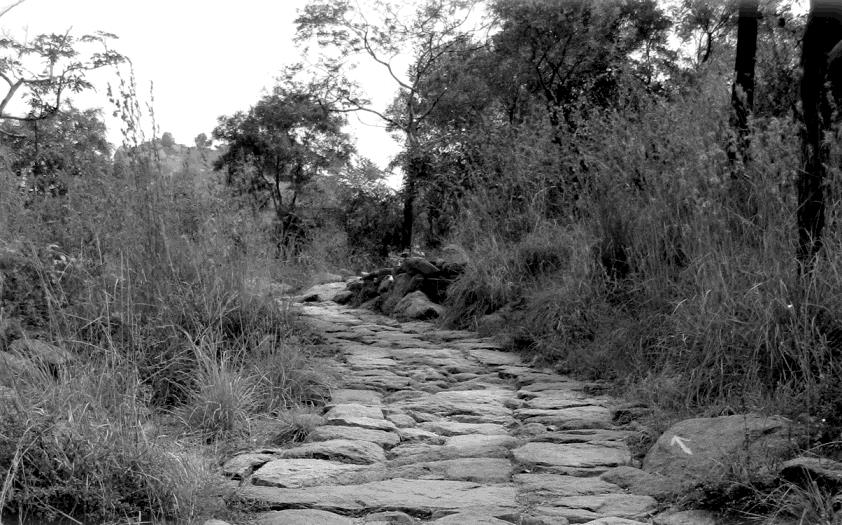 The rock paved path leading towards Skandashram