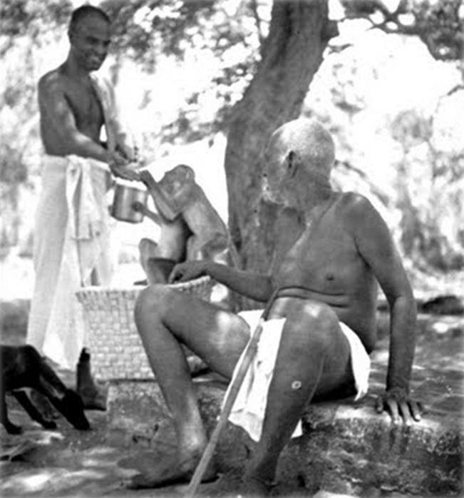 Sri Bhagavan and Kunju Swami feeding the monkeys