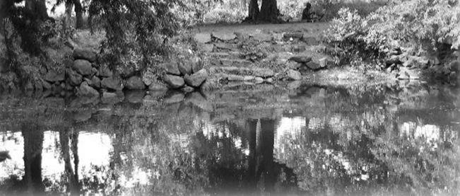 Tank at Palaakothu
