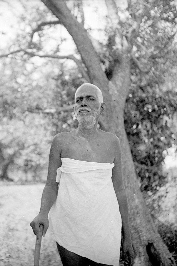 Sri Bhagavan taking his noon walk at Palaakothu