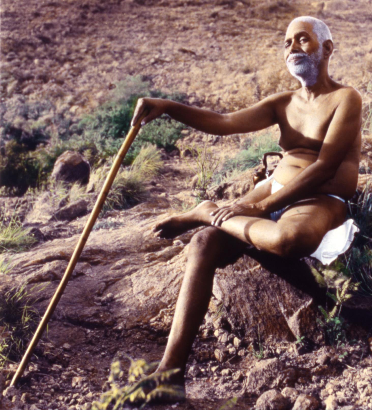 colour photo of Sri Ramana Maharshi seated on a rock on Arunachala holding a staff