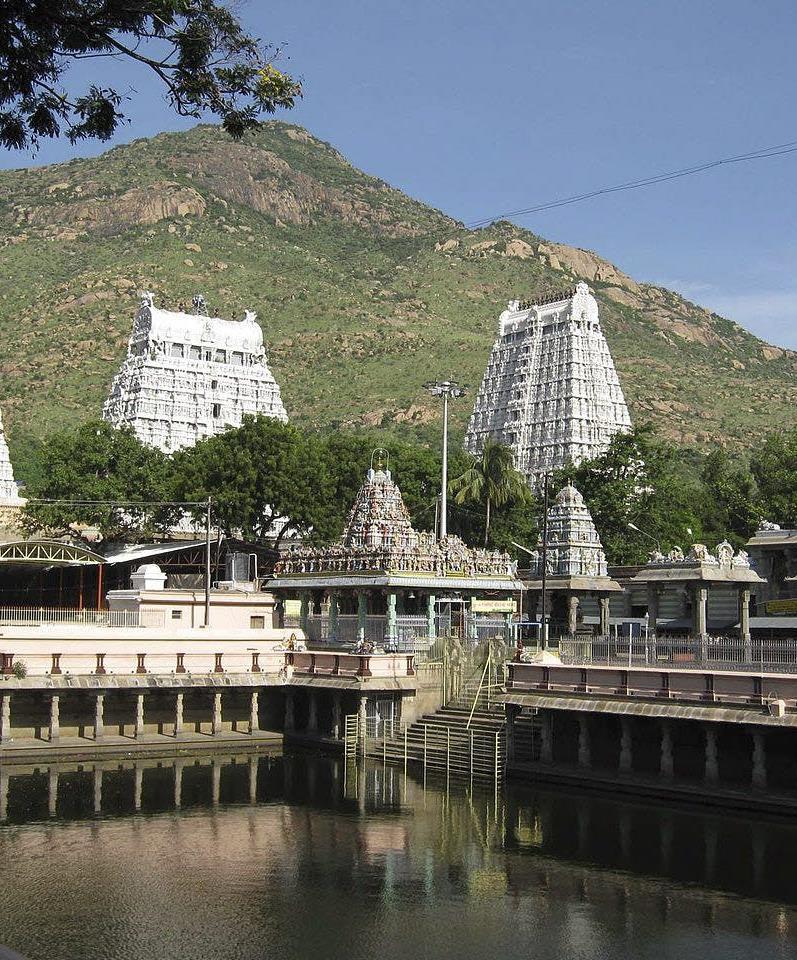 photo of Arunachala hill with the temple gopurams and tank