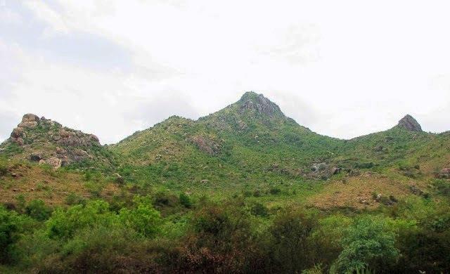 photo, Panchamukha Darshan of Arunachala (per caption)