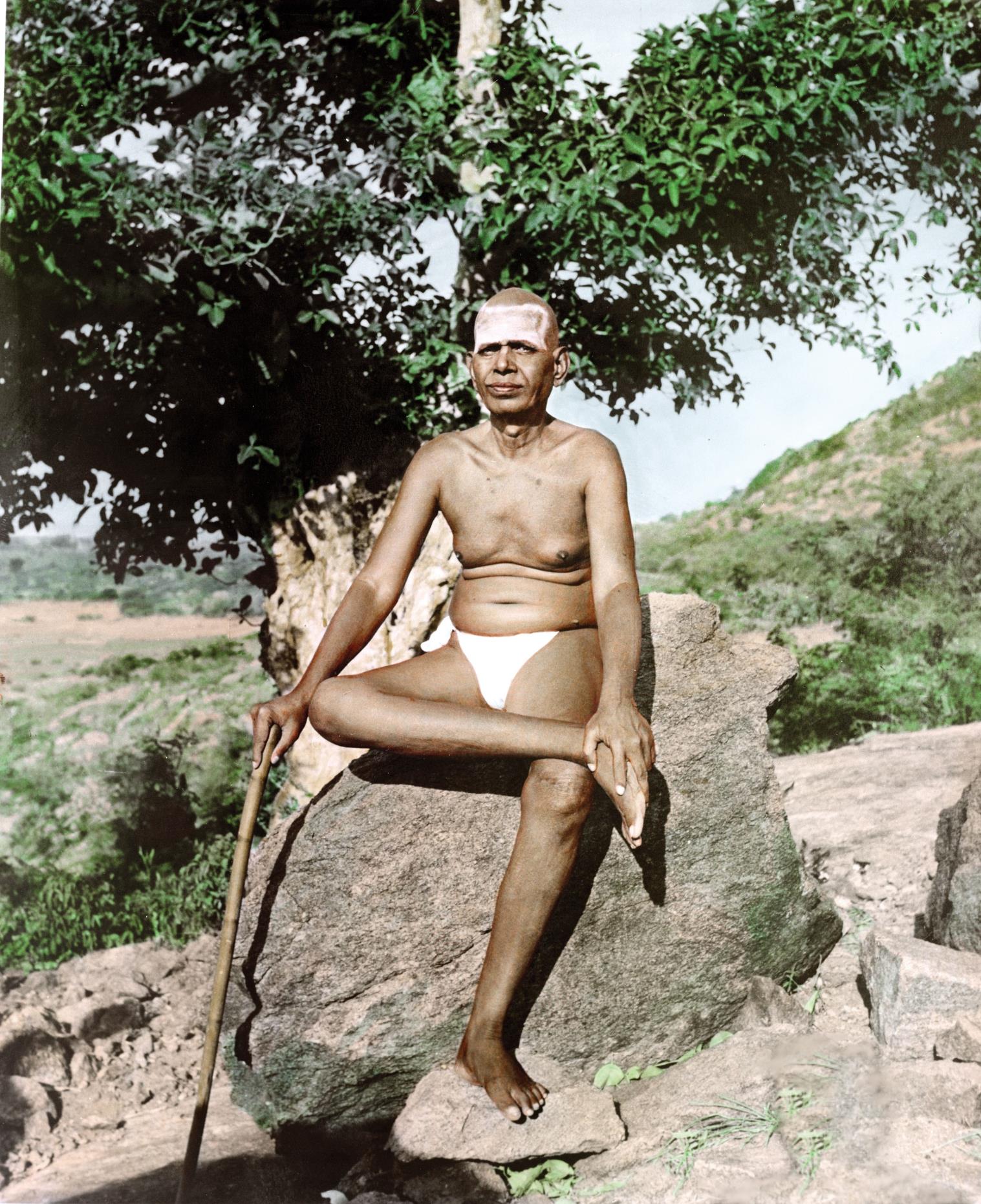 photo of Sri Bhagavan seated on a big rock in front of a banyan tree, leaning on a stick