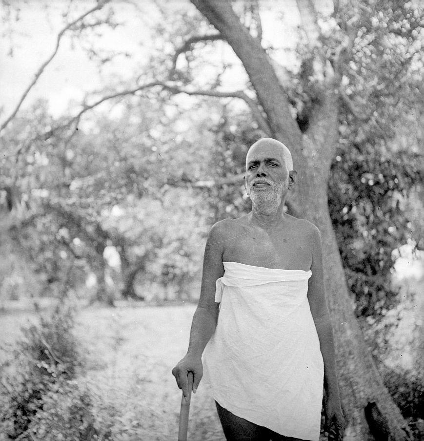 black-and-white photo of Sri Bhagavan standing under a tree, holding a stick, wearing a white cloth round the waist; no caption