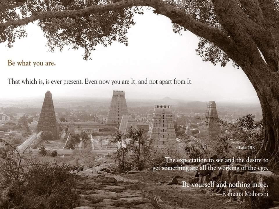 sepia photograph of the Arunachaleswara temple gopurams seen from the hill under a tree; text printed inside the picture (part of the image, not the text layer): 'Be what you are.' / 'That which is, is ever present. Even now you are It, and not apart from It.' / '~Talk 183.' / 'The expectation to see and the desire to get something are all the working of the ego.' / 'Be yourself and nothing more.' / '—Ramana Maharshi'