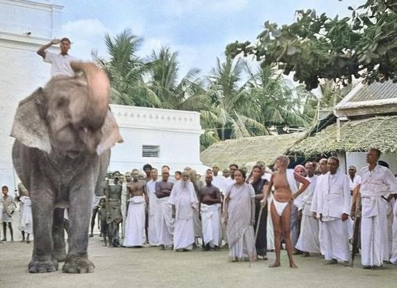 colour photo of an elephant with a rider saluting, Sri Bhagavan standing with a group of devotees in a courtyard