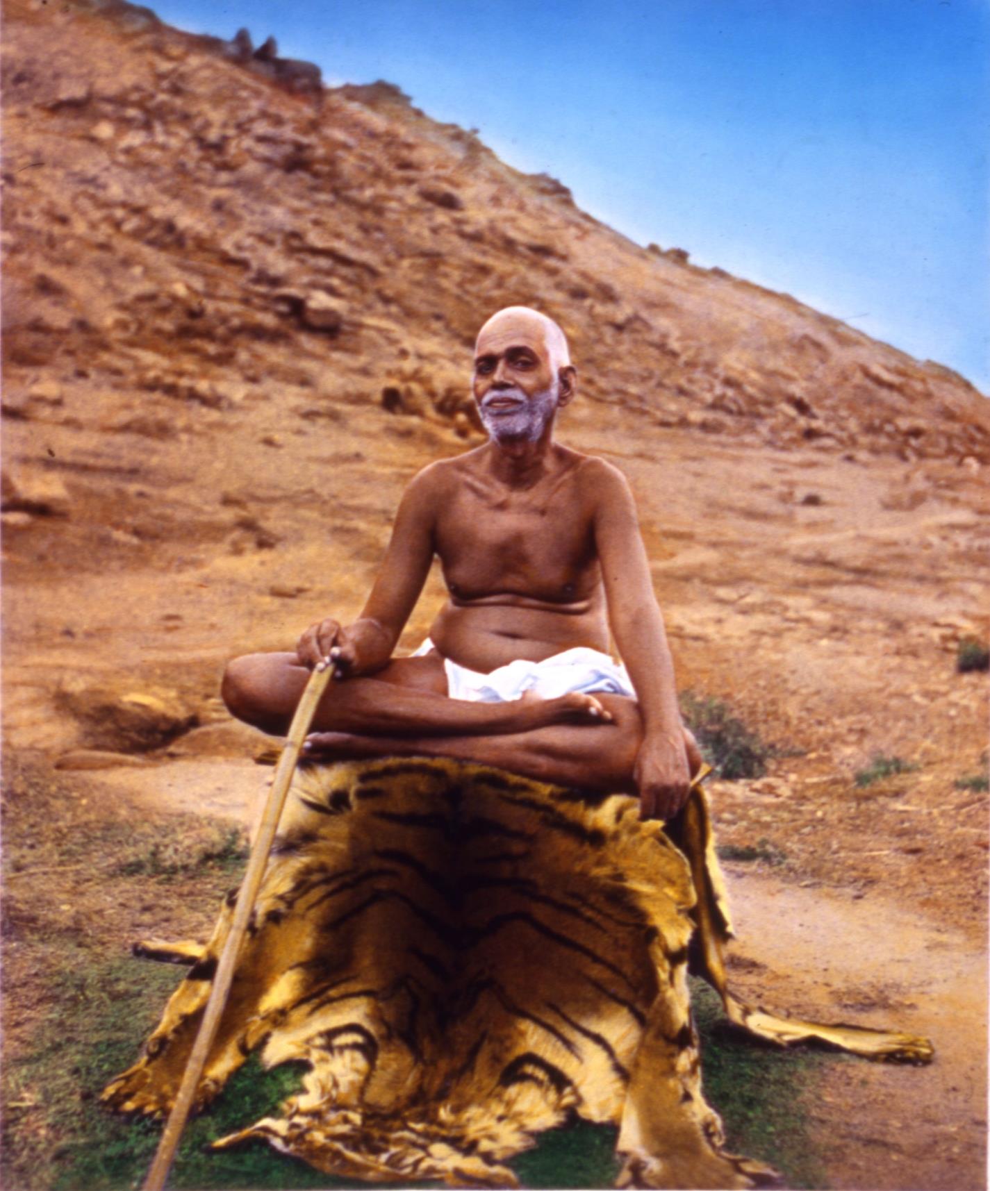 colour photo of Sri Bhagavan seated on a tiger skin on a rocky hillside, staff in hand