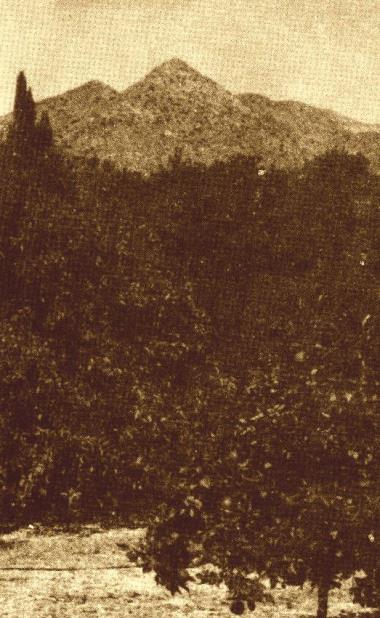 photo of a wooded mountain