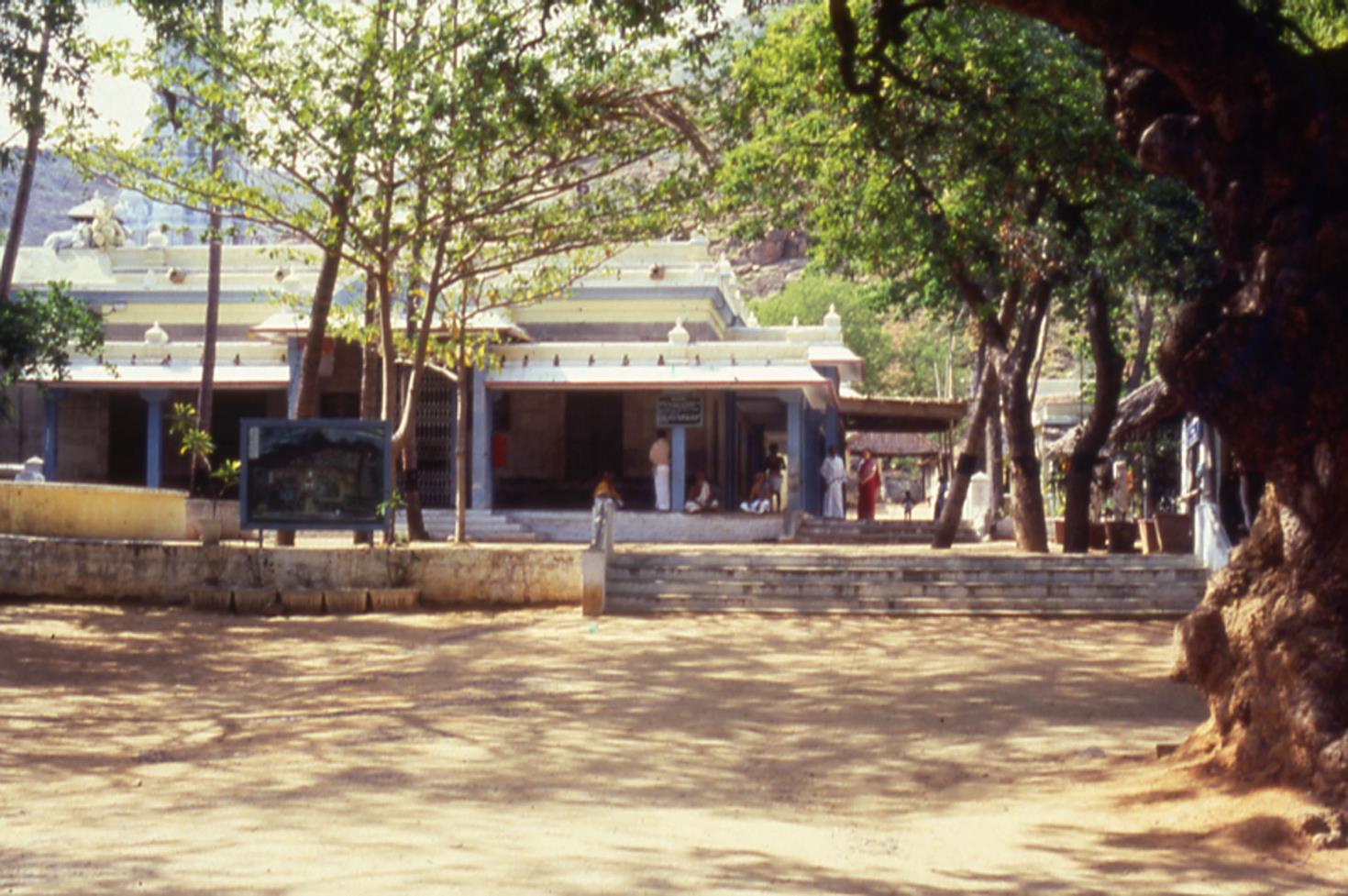 photo of the front entrance area of Sri Ramanasramam with trees and a large tree trunk at right