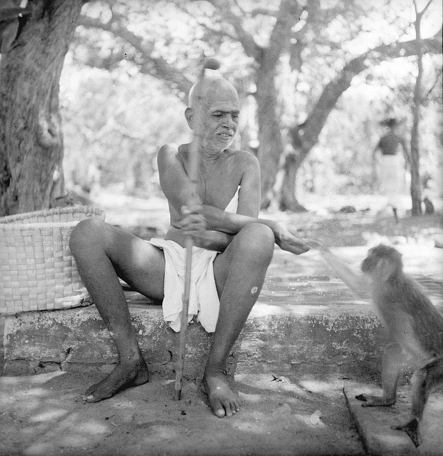 photograph of Sri Bhagavan seated outdoors with a stick, a monkey at right